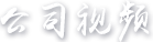 视频介绍